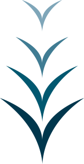 Symbol d'envol - Clarvie